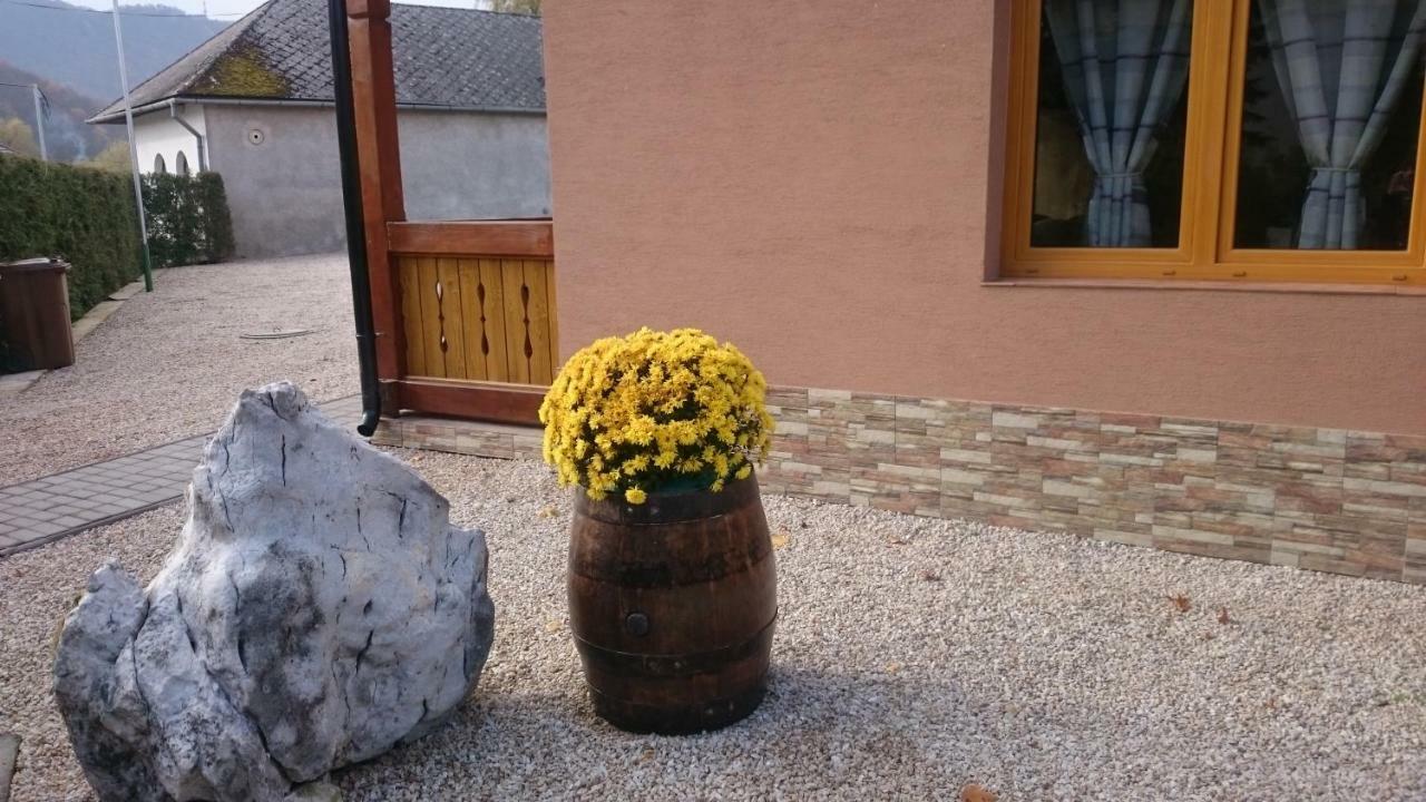 Penzion Vian Krasnohorska Dlha Luka Luaran gambar